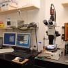 Image: Laboratory setup for dielectrophoresis