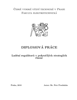 Dp 2010 prochazka petr.pdf