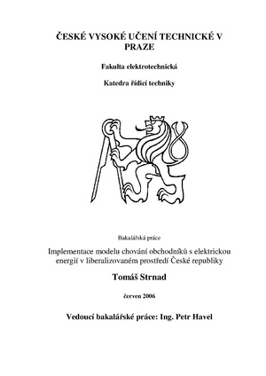Bp 2006 strnad tomas.pdf