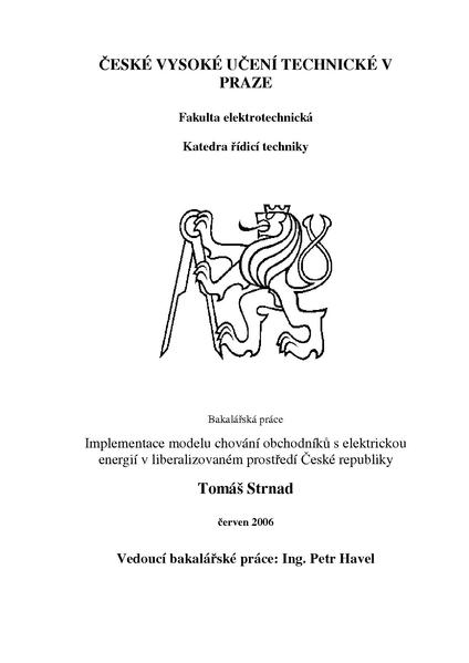 Soubor:Bp 2006 strnad tomas.pdf