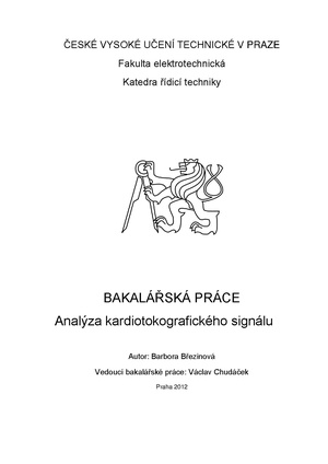 Bp 2013 brezinova barbora.pdf
